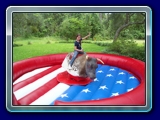 Mechanical Bull - Includes our fierce but friendly T.E. the Bull, the only bull that throws you for a change! Great for backyard parties, corporate events, fund raisers, or just for a good old down home rodeo!