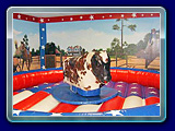 Mechanical Bull - Includes our fierce but friendly T.E. the Bull, the only bull that throws you for a change! Great for backyard parties, corporate events, fund raisers, or just for a good old down home rodeo!